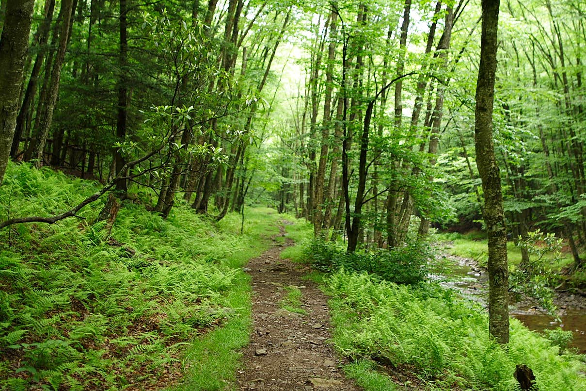 Nature