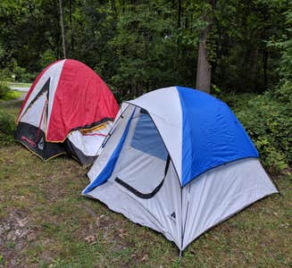 Camper-submitted photo from Batona — Wharton State Forest