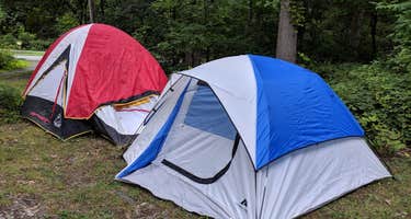 Wharton State Forest