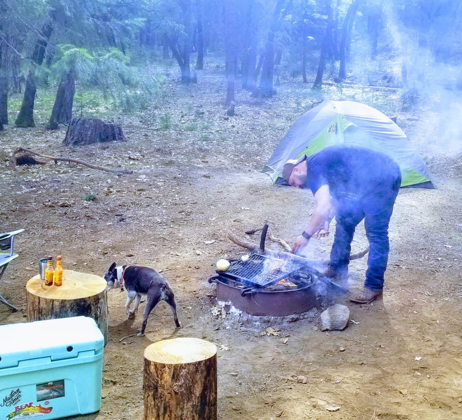Julie D.'s photo of tent camping at Loganville near Doyle, CA