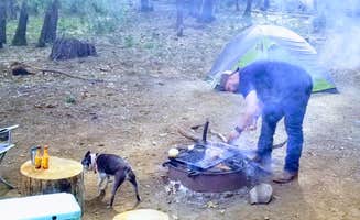Julie D.'s photo of tent camping at Loganville near Clio, CA