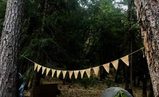 Julie D.'s photo at Loganville near Downieville, CA