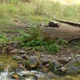 Review photo of Boundary Campground by Julie P., May 22, 2018