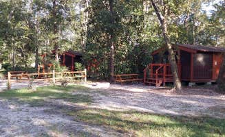 Theresa B.'s photo of a cabin at Okefenokee Pastimes Cabins and Campground near Fleming Island, FL