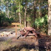 Review photo of Okefenokee Pastimes Cabins and Campground by Theresa B., October 27, 2020