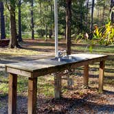 Review photo of Okefenokee Pastimes Cabins and Campground by Theresa B., October 27, 2020