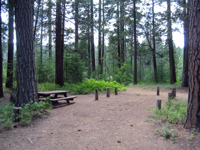 Camper-submitted photo at Boundary Campground near Camas Valley, OR