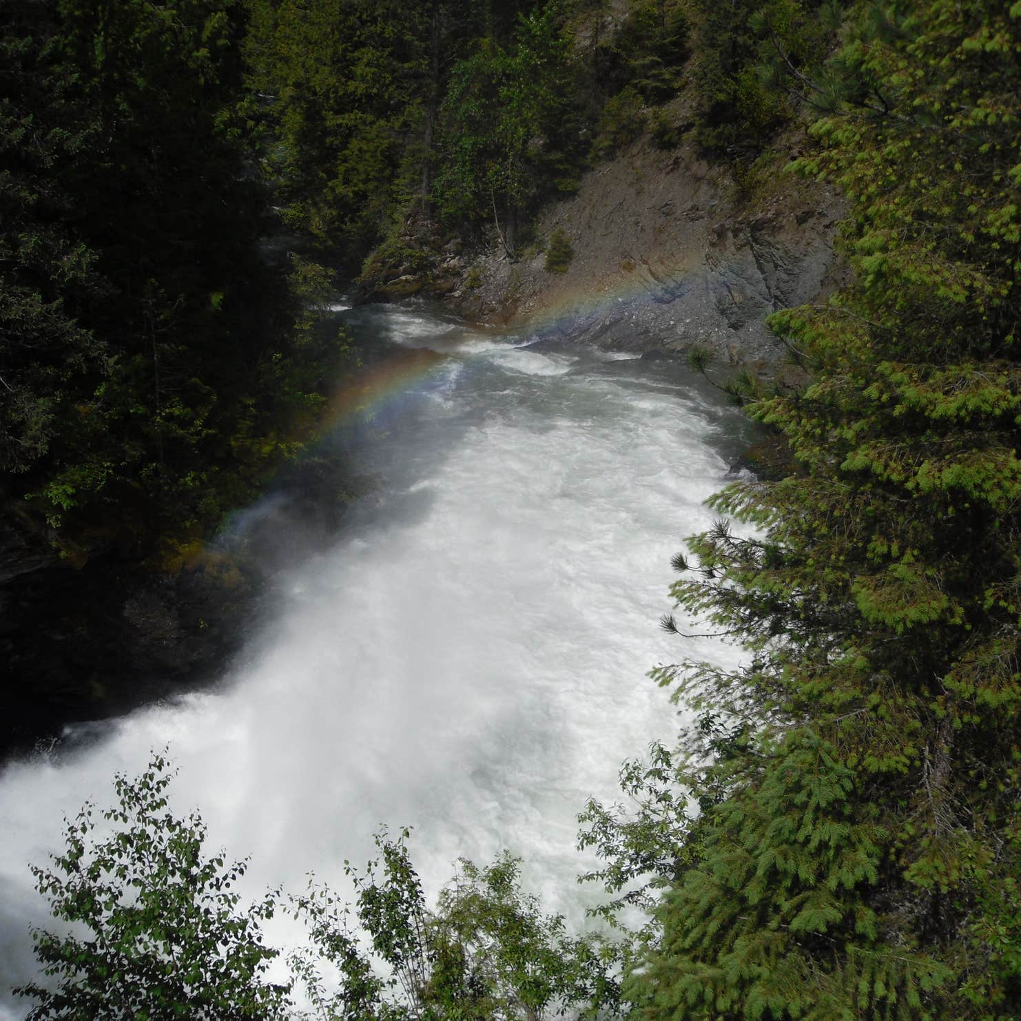 Colville National Forest Panhandle Campground Cusick, WA