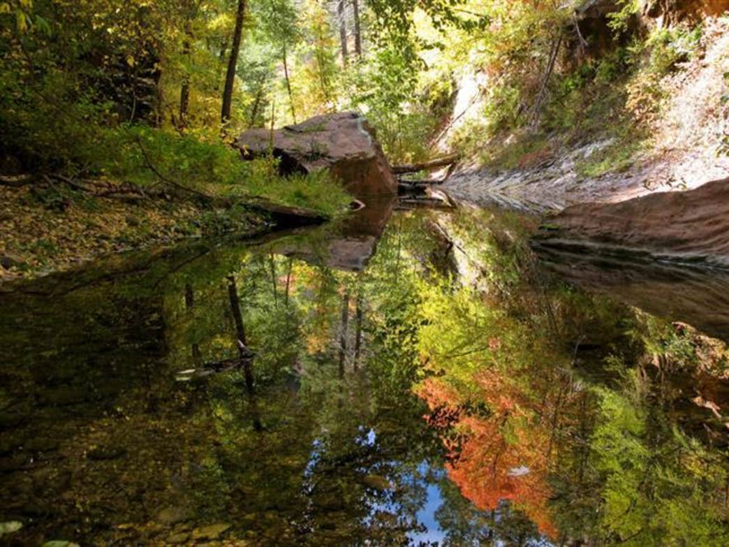 Camper-submitted photo at Boundary Campground near Camas Valley, OR