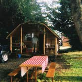 Review photo of Olympic Peninsula-Port Angeles KOA by Terrie M., October 27, 2020