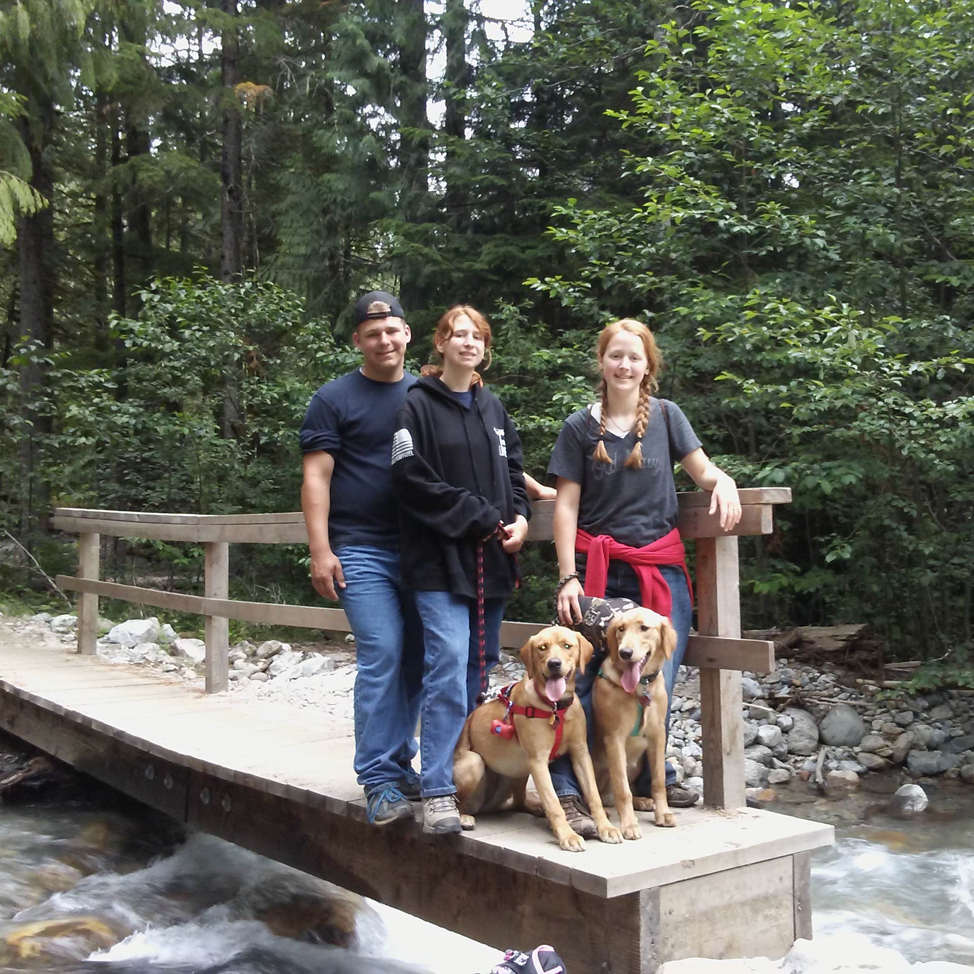 Newhalem Creek Campground — Ross Lake National Recreation Area