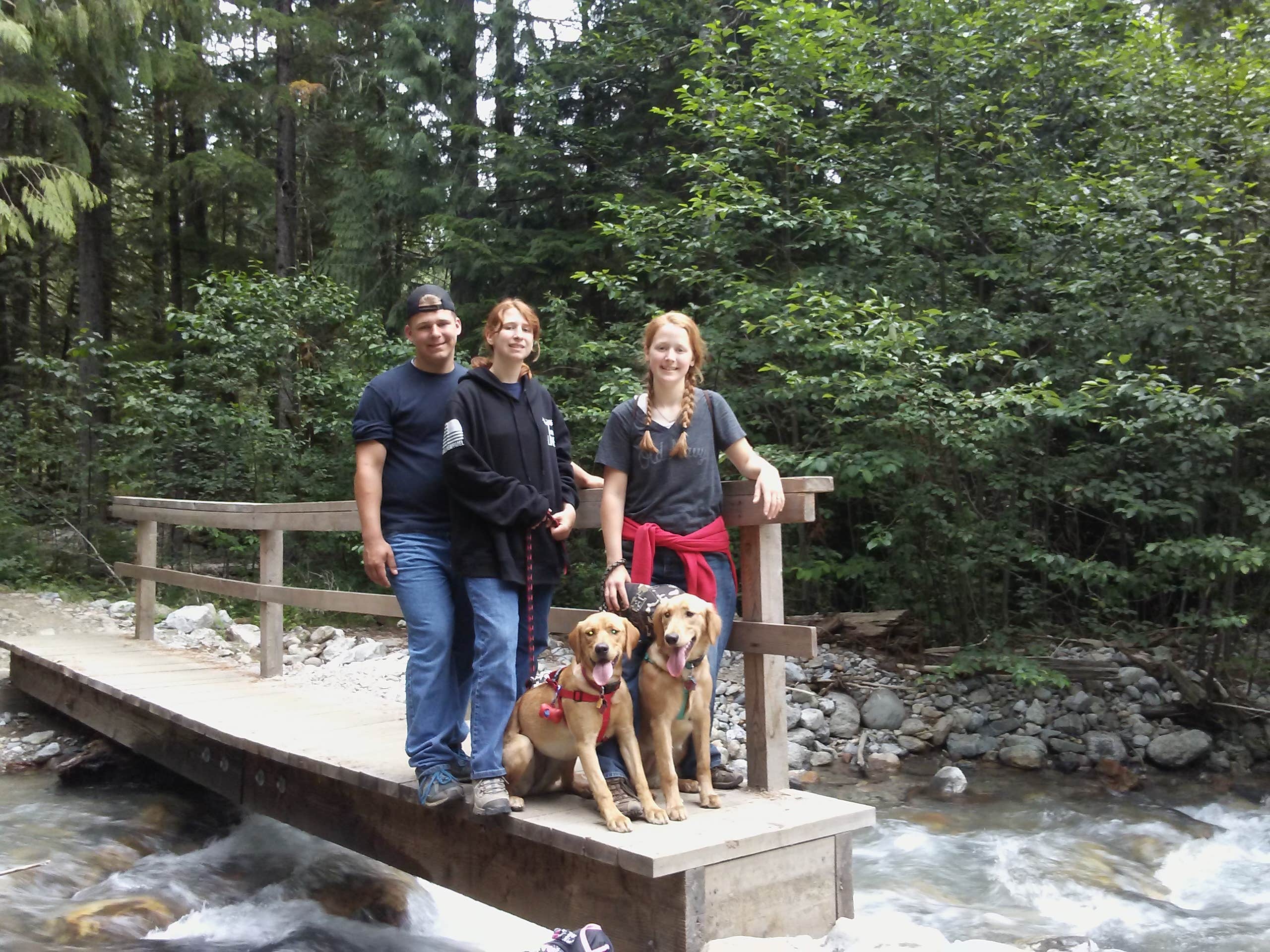 Camper submitted image from Newhalem Creek Campground - 1