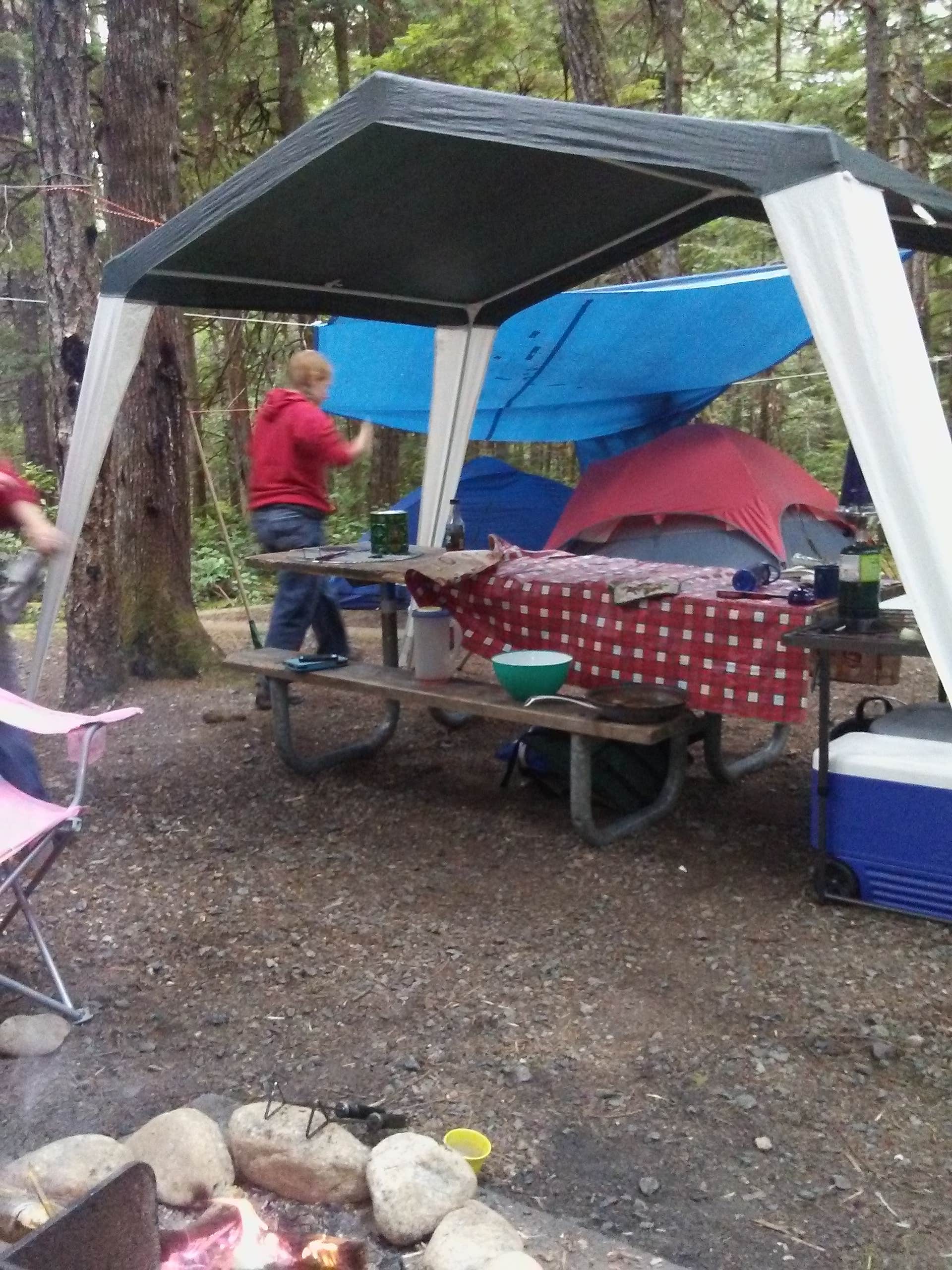 Terrie M.'s photo at Newhalem Creek Campground — Ross Lake National Recreation Area near Marblemount, WA