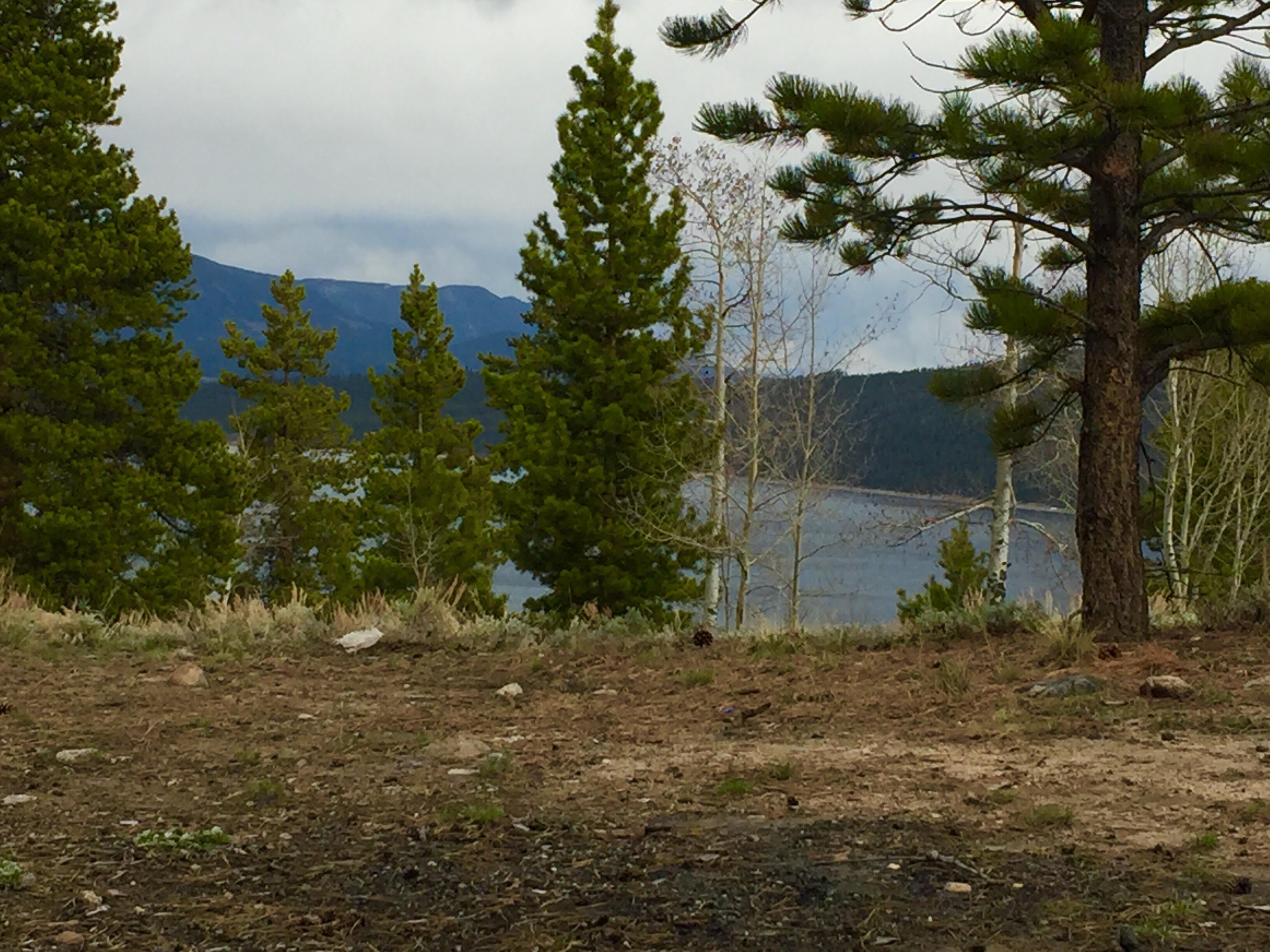 Camper submitted image from Twin Peaks Dispersed Campground- Colorado - 2