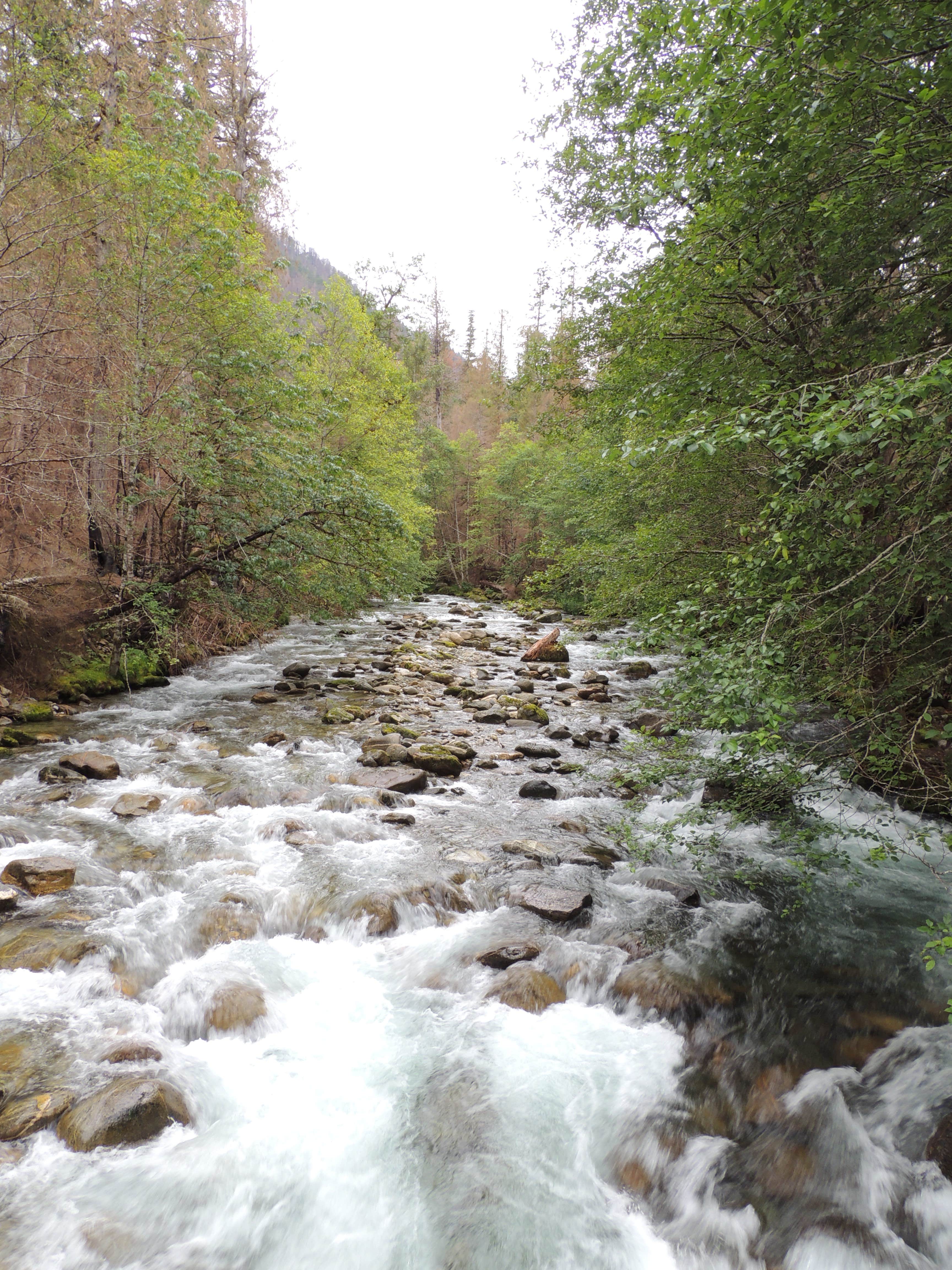 Camper submitted image from Newhalem Creek Campground - 2