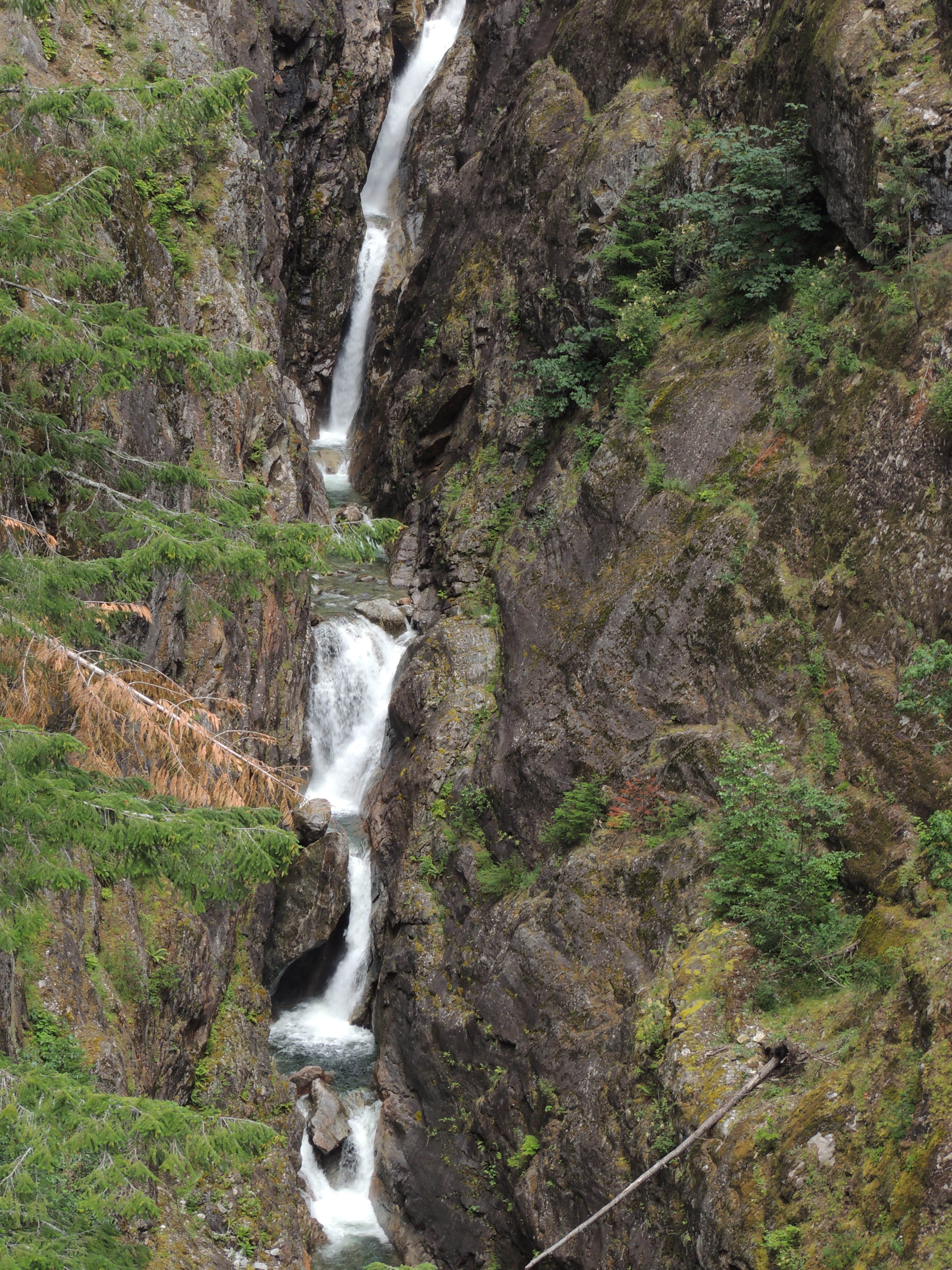 Camper-submitted photo at Newhalem Creek Campground — Ross Lake National Recreation Area near Marblemount, WA