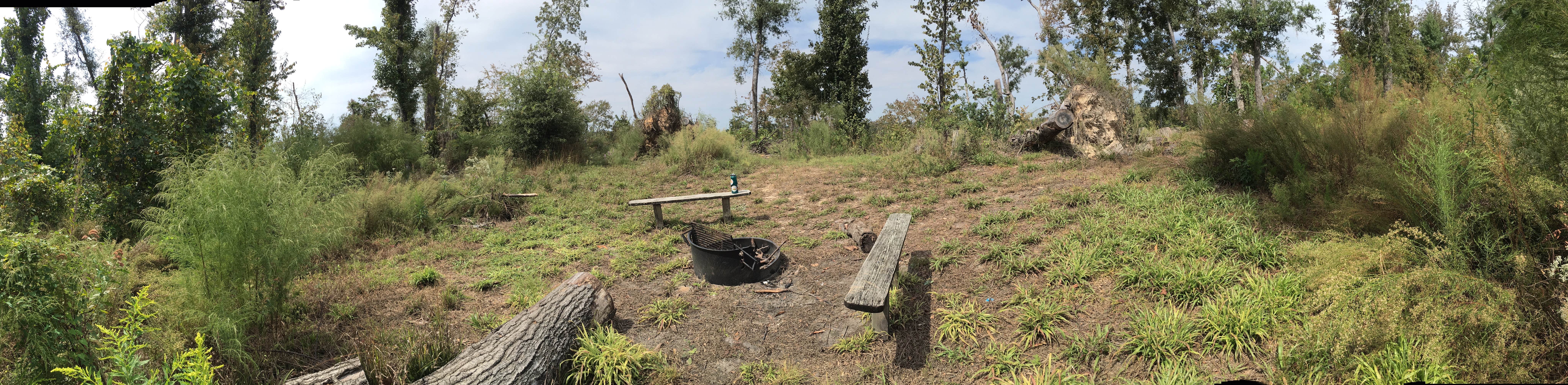 Camper-submitted photo at Torreya State Park Campground near Sneads, FL