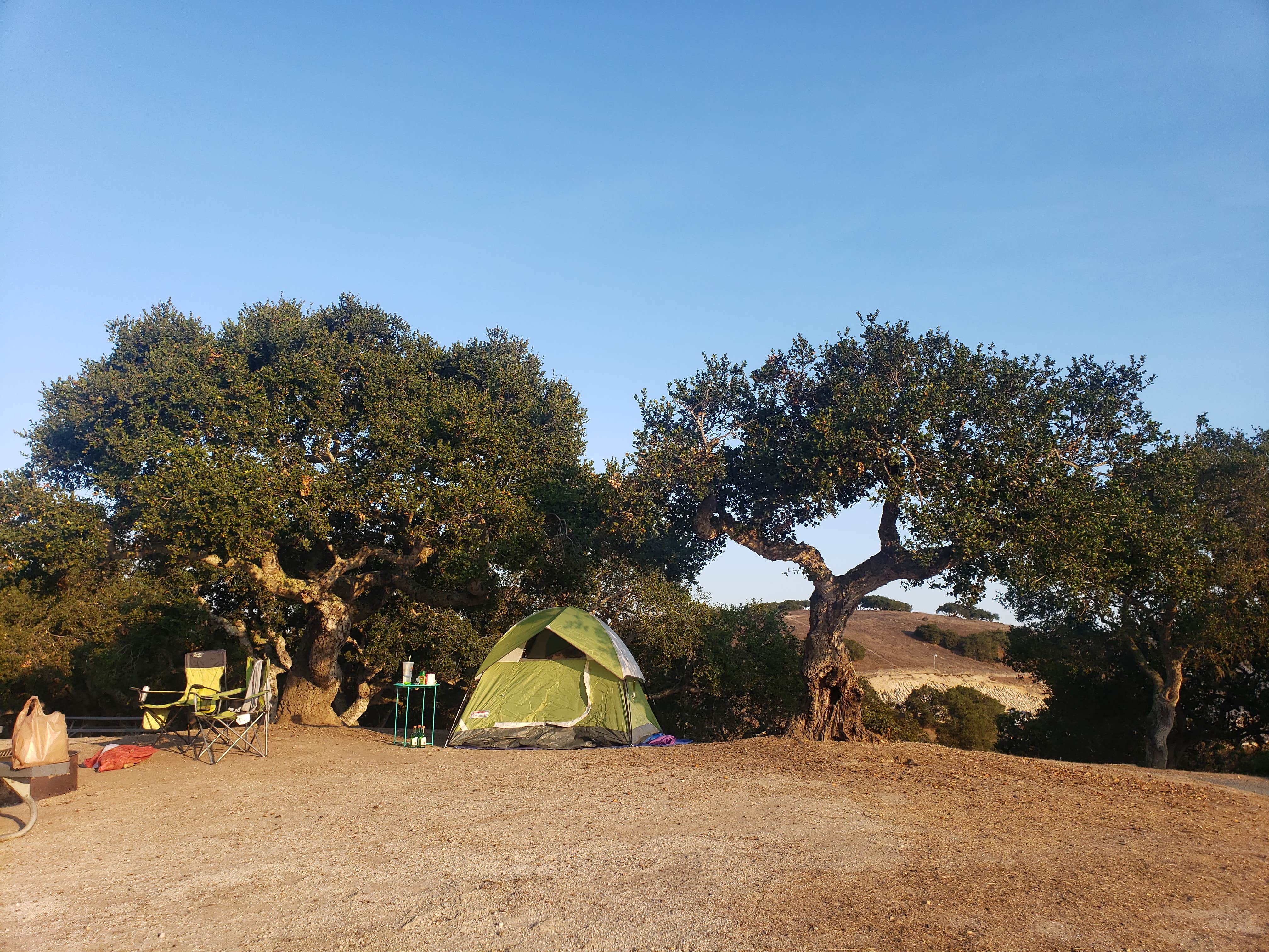 Camper submitted image from Laguna Seca Recreation Area - 4