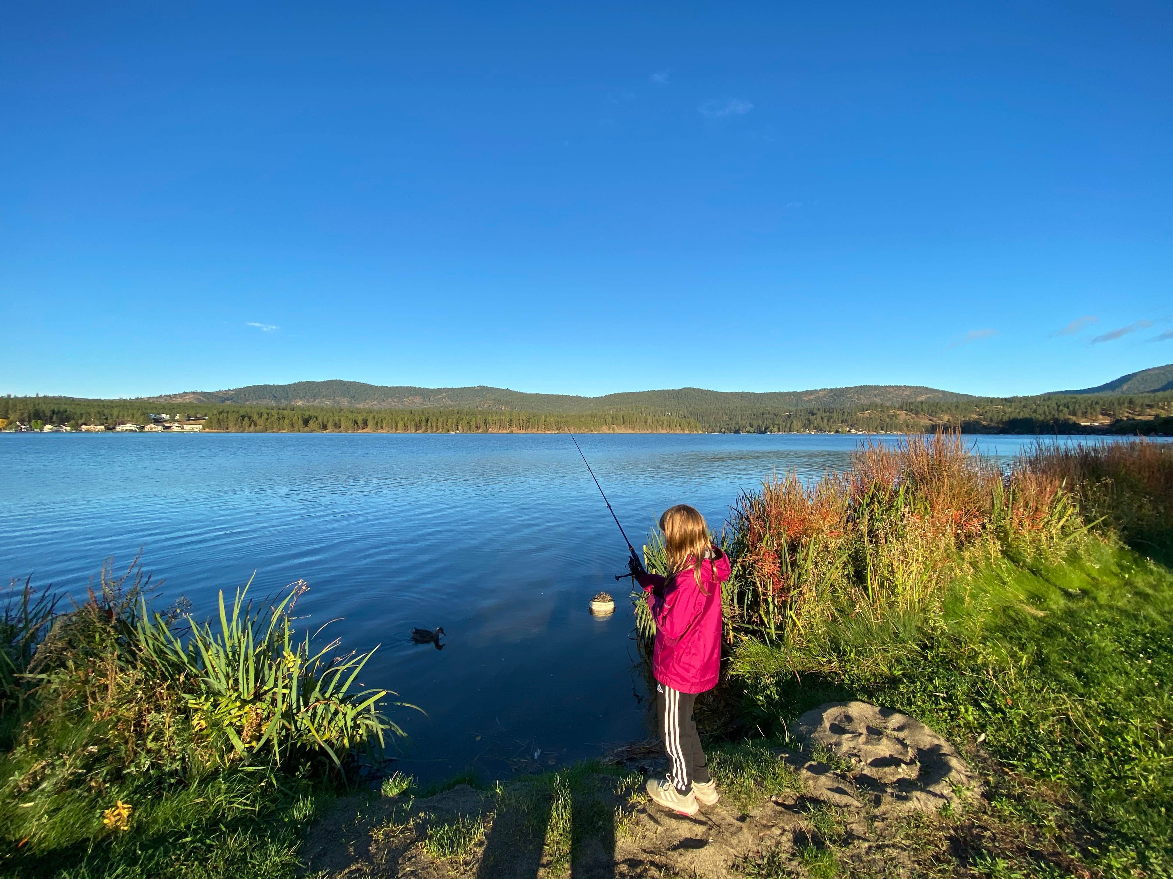 Camper submitted image from Willow Bay RV Resort & Marina - 4