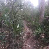 Review photo of Kathryn Abbey Hanna Park by Issa F., October 27, 2020