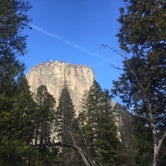 Review photo of Camp 4 - Yosemite National Park by Issa F., October 27, 2020