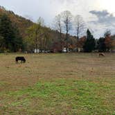 Review photo of Lazy J Campground by Ricky J., October 27, 2020