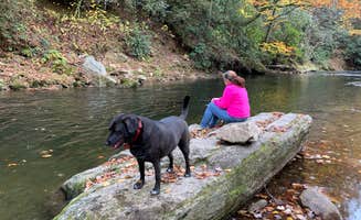 Ricky J.'s photo of camping with pets at Lazy J Campground near Sunset, SC