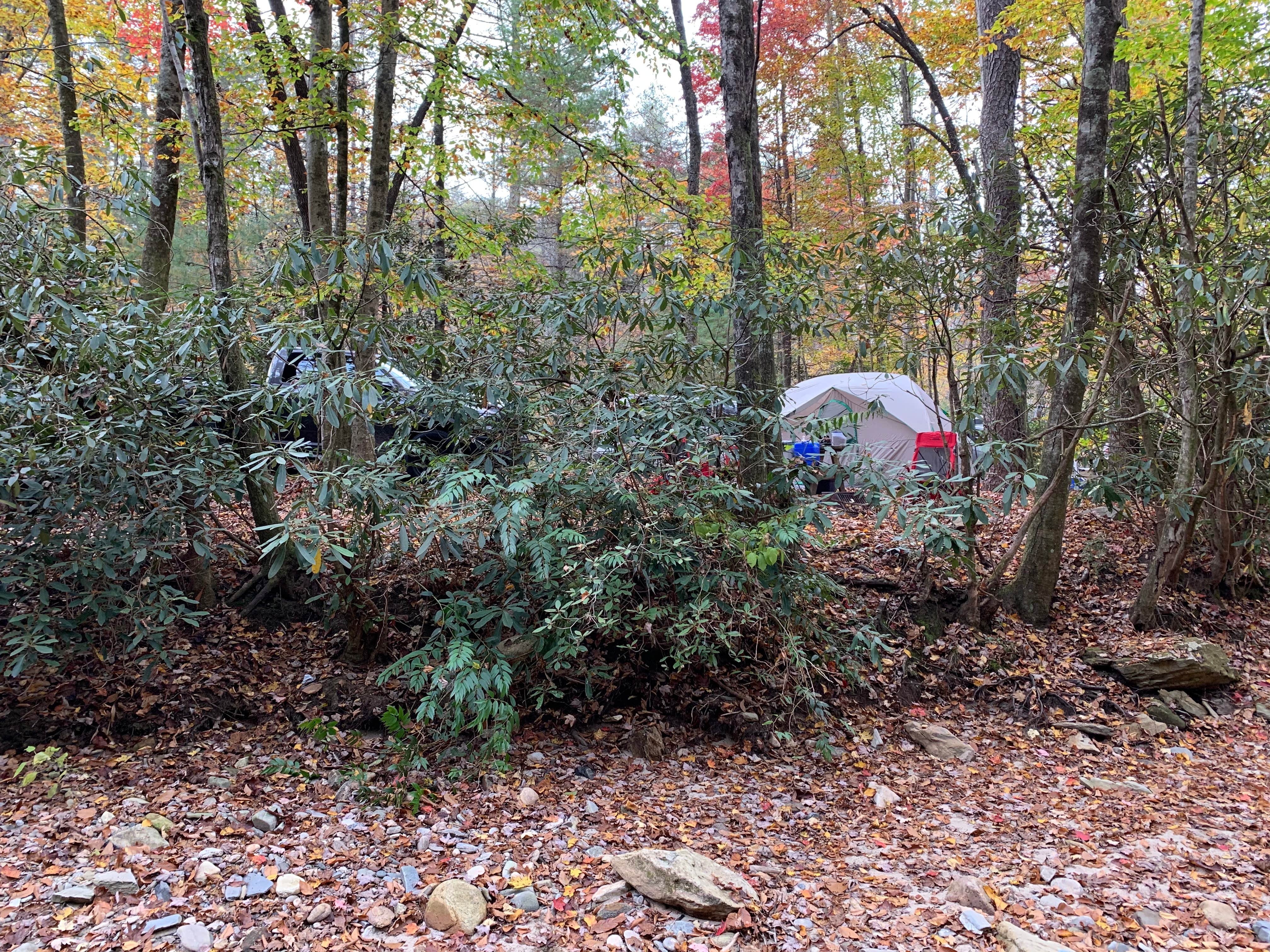 Ricky J.'s photo at Lazy J Campground near Rosman, NC