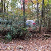 Review photo of Lazy J Campground by Ricky J., October 27, 2020