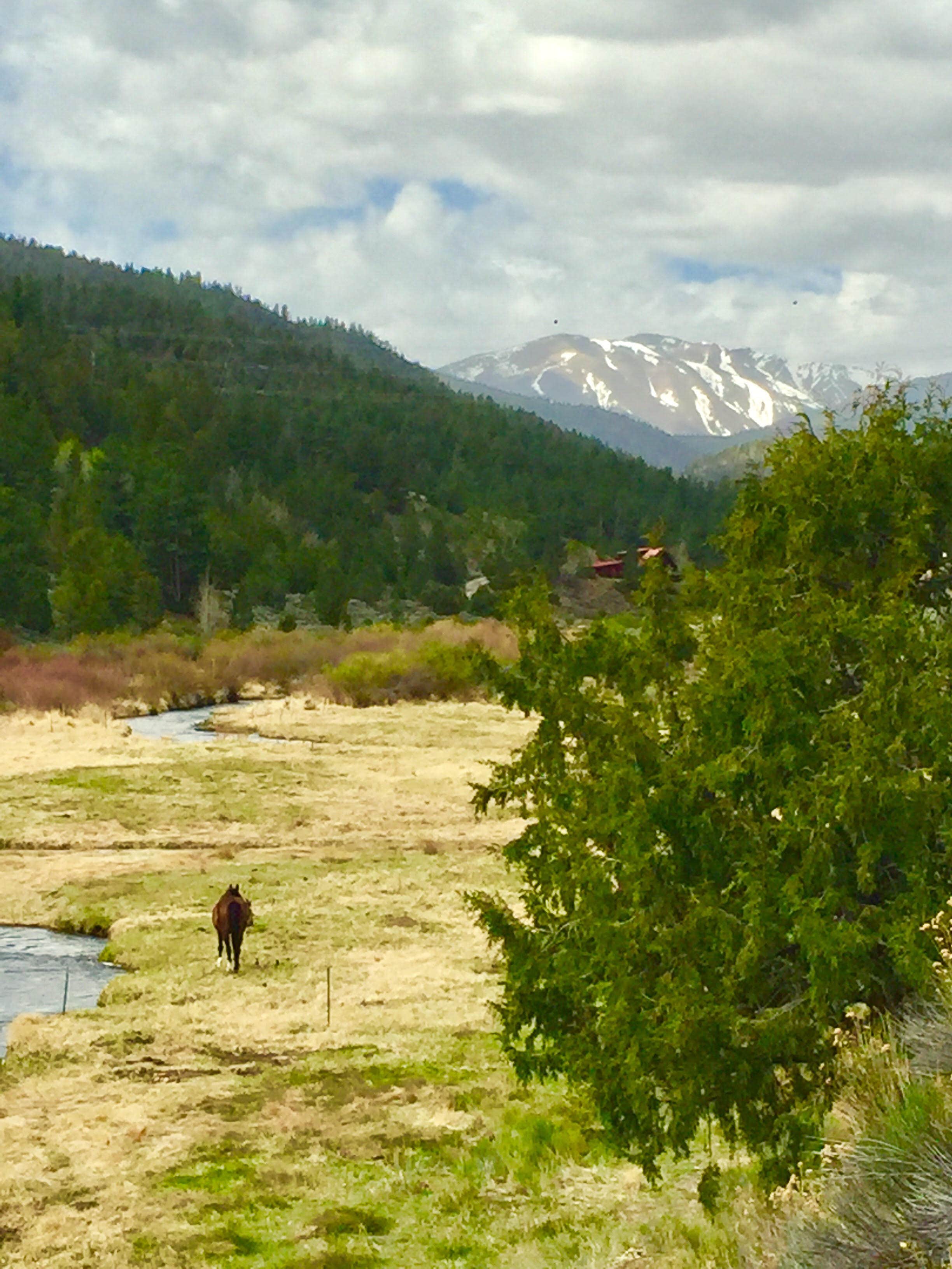 Camper submitted image from Marshall Pass - 2