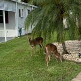Review photo of The Great Outdoors RV, Nature & Golf Resort by Suzie F., October 27, 2020