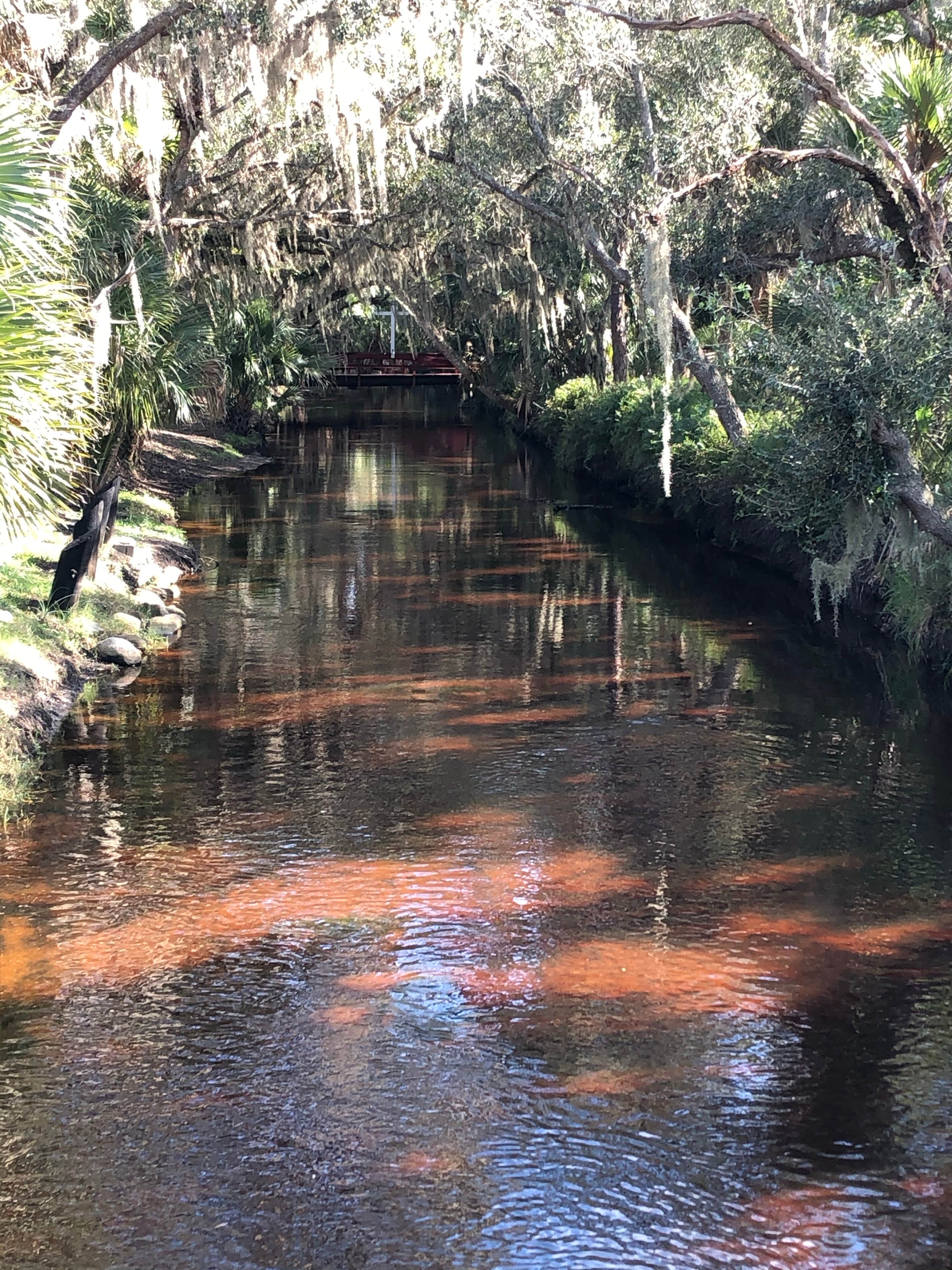Camper-submitted photo at The Great Outdoors RV, Nature & Golf Resort near Titusville, FL