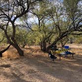 Review photo of Catalina State Park Campground by Amanda H., October 27, 2020
