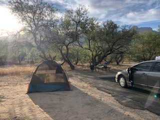 Amanda H.'s photo at Catalina State Park Campground near Oro Valley, AZ