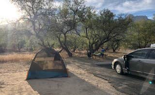 Amanda H.'s photo at Catalina State Park Campground near Oro Valley, AZ