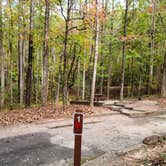 Review photo of Unicoi State Park & Lodge by Tiffany B., October 27, 2020