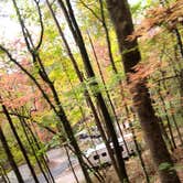 Review photo of Unicoi State Park & Lodge by Tiffany B., October 27, 2020