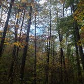 Review photo of Unicoi State Park & Lodge by Tiffany B., October 27, 2020