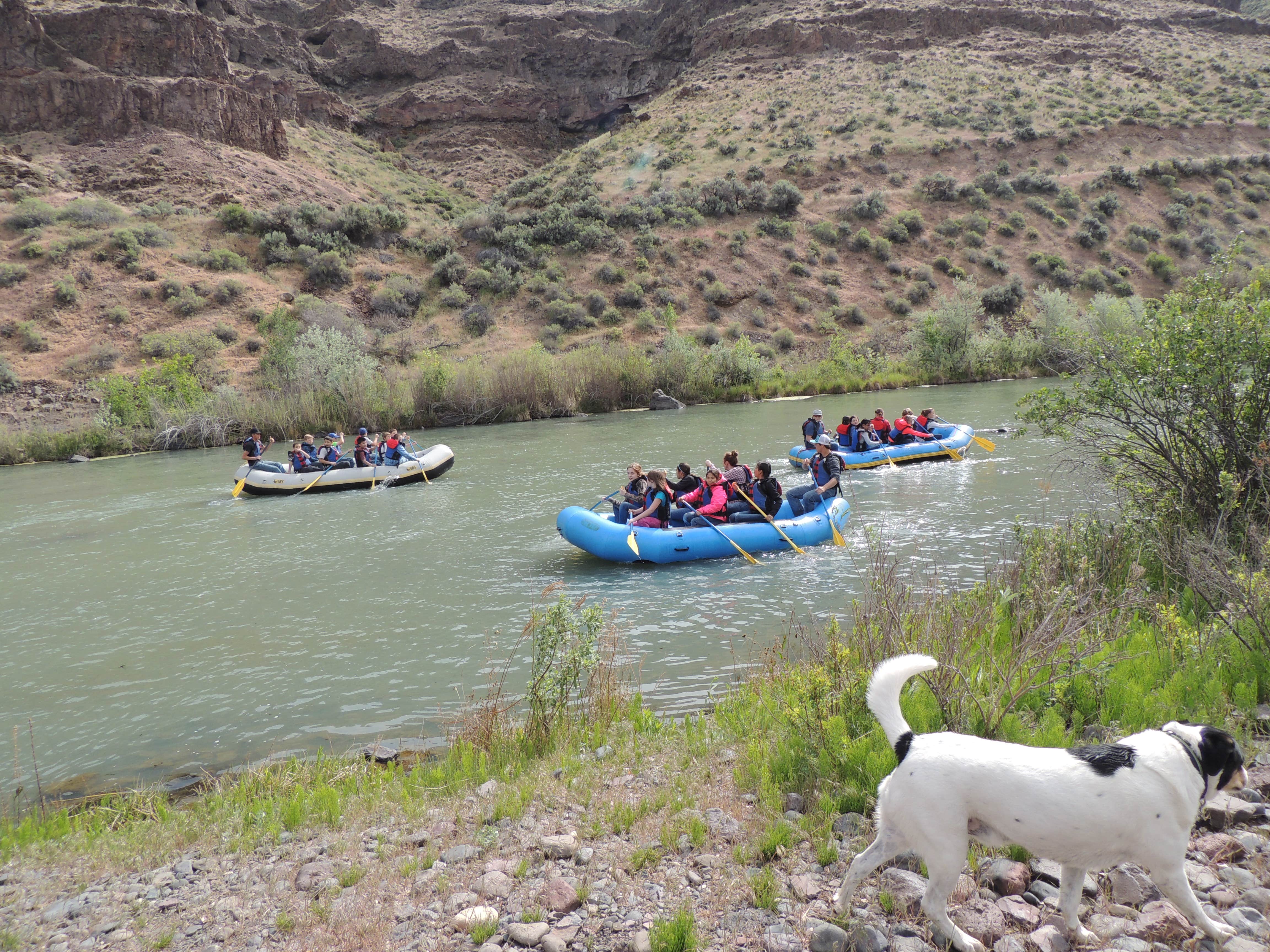 Ed E.'s photo of camping with pets at Owyhee River - Below Dam - Owyhee Dam Park near Nampa, ID