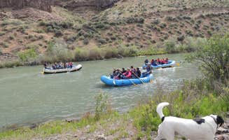 Ed E.'s photo of camping with pets at Owyhee River - Below Dam - Owyhee Dam Park near Adrian, OR