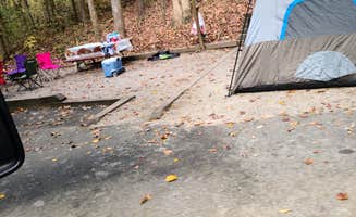 Tiffany B.'s photo at Unicoi State Park & Lodge near Helen, GA