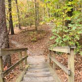 Review photo of Unicoi State Park & Lodge by Tiffany B., October 27, 2020