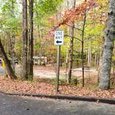 Review photo of Unicoi State Park & Lodge by Tiffany B., October 27, 2020