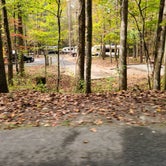 Review photo of Unicoi State Park & Lodge by Tiffany B., October 27, 2020