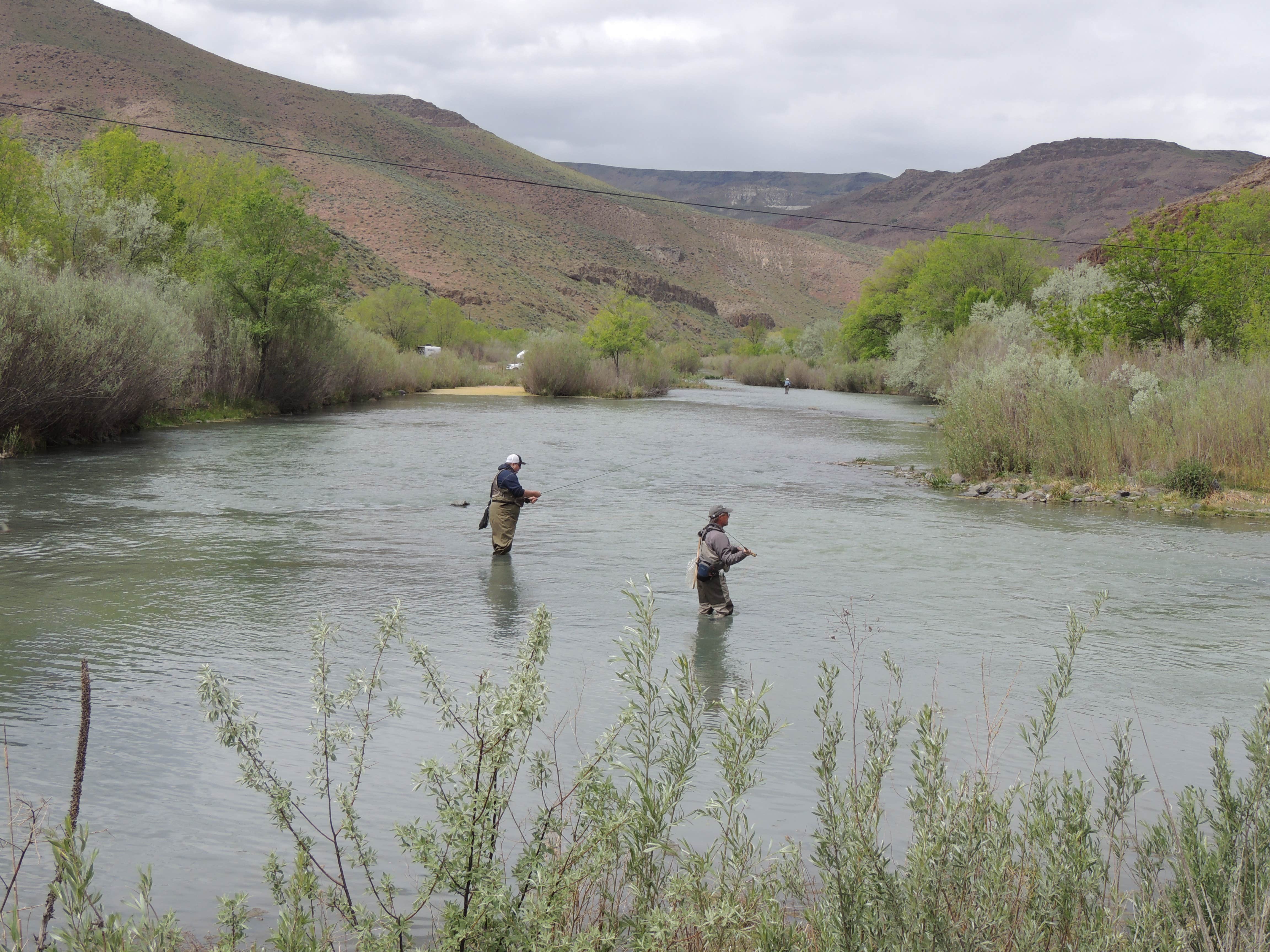 Camper submitted image from Owyhee River - Below Dam - Owyhee Dam Park - 2