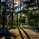 Review photo of Cedar Lake Equestrian Campground by Kristi B., October 27, 2020