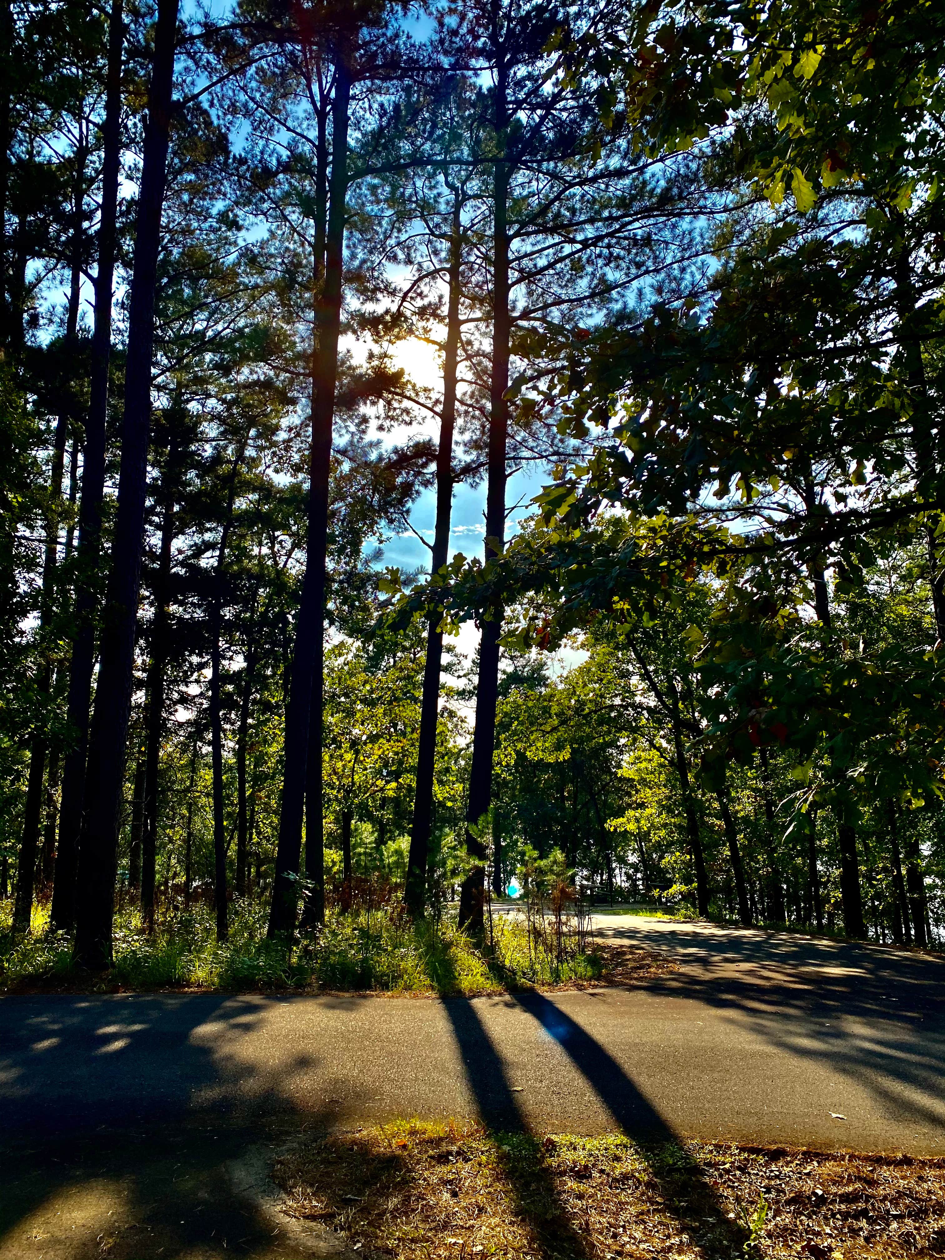 Camper submitted image from Cedar Lake Equestrian Campground - 2