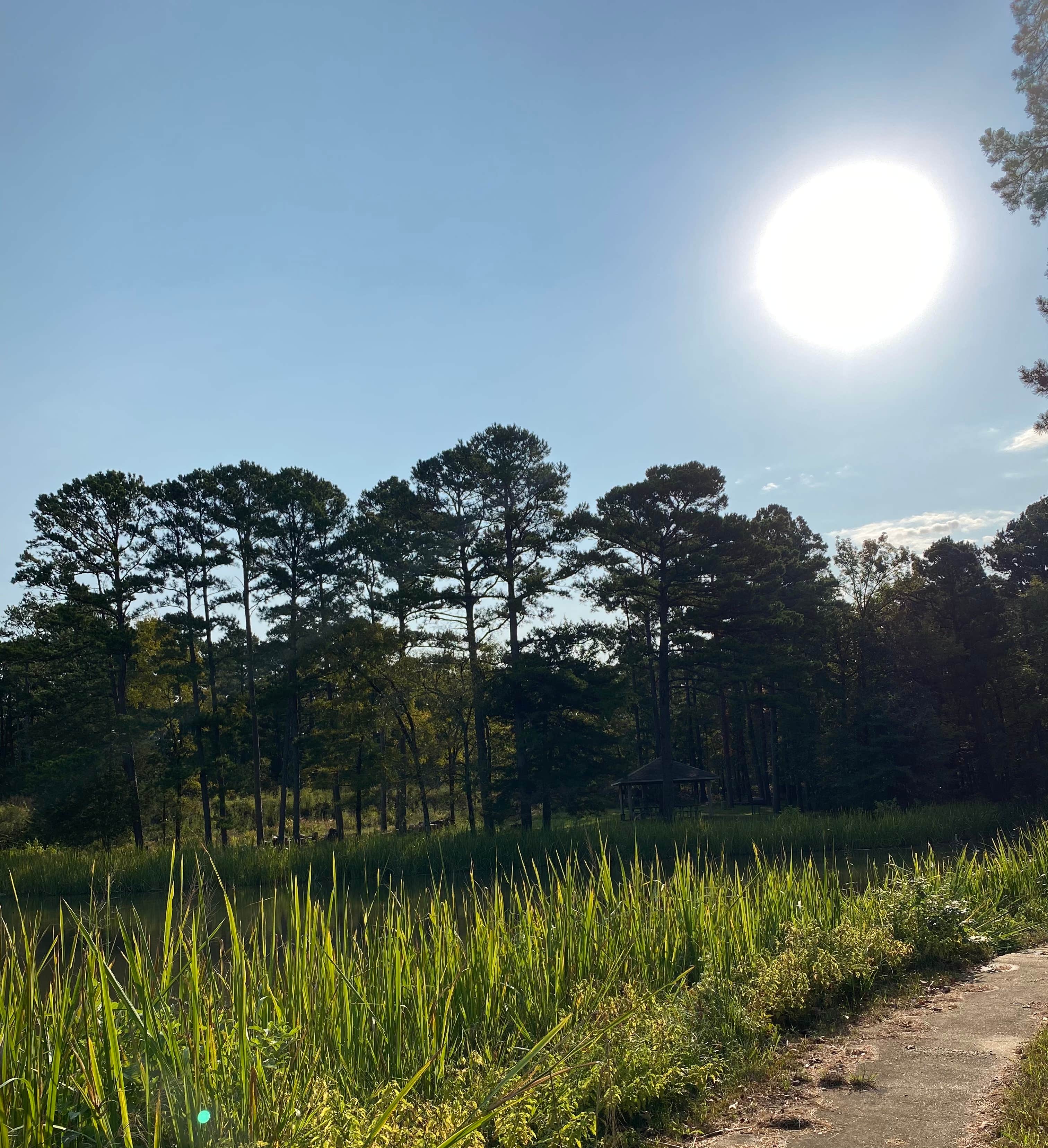 Camper-submitted photo at Cedar Lake Equestrian Campground near Talihina, OK