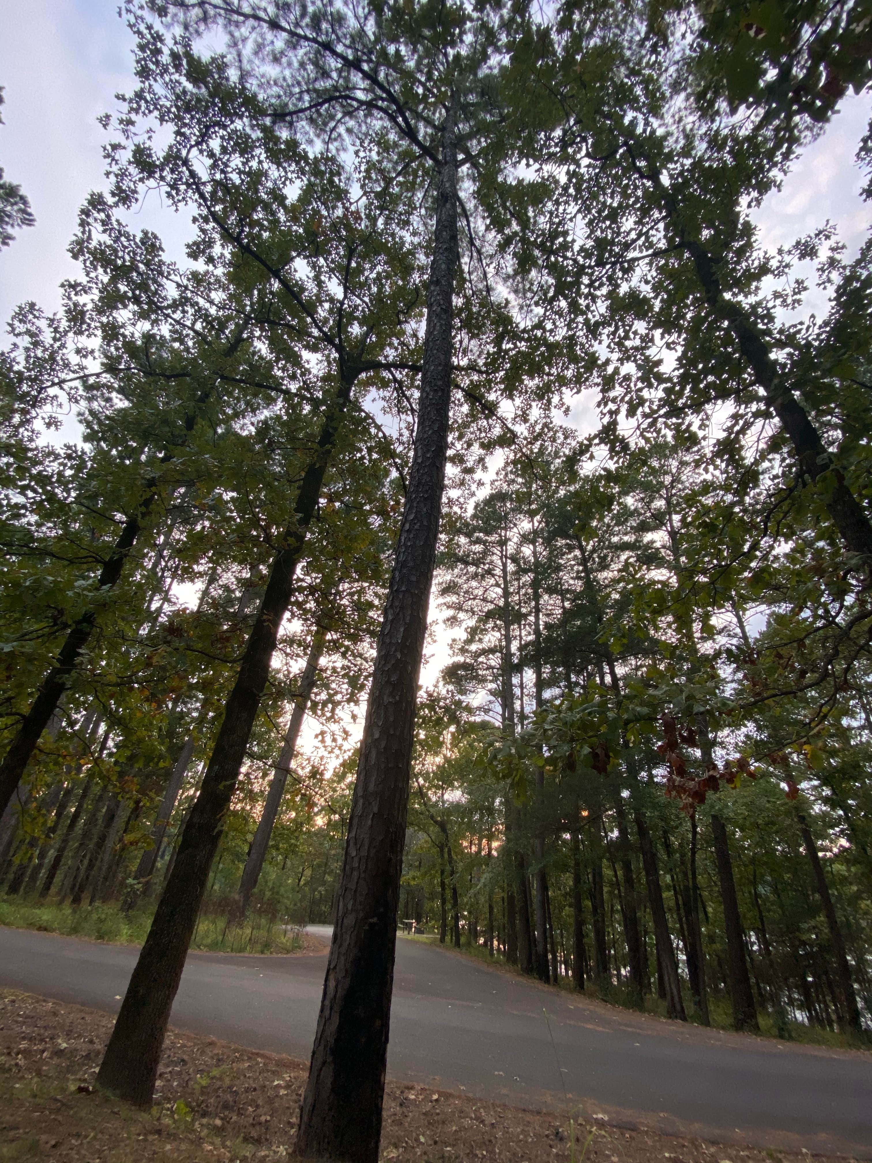 Camper submitted image from Cedar Lake Equestrian Campground - 1