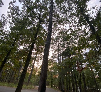 Camper-submitted photo from Cedar Lake Equestrian Campground